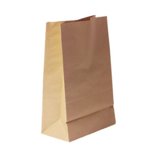 Paper Bag 1