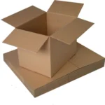 20 kg carton