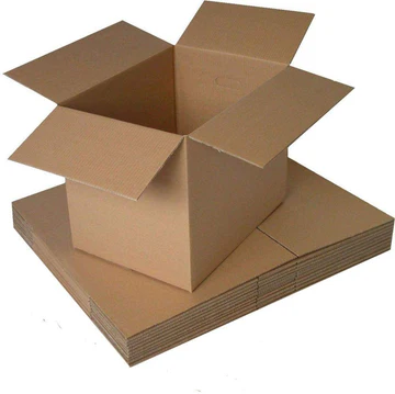 20 kg carton