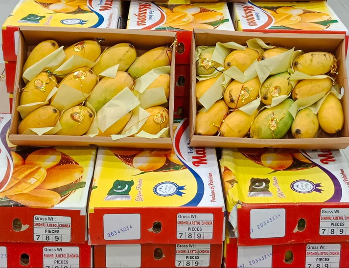 Mango Boxs 3