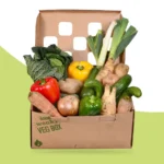 Friut And Vegetalble Style 7